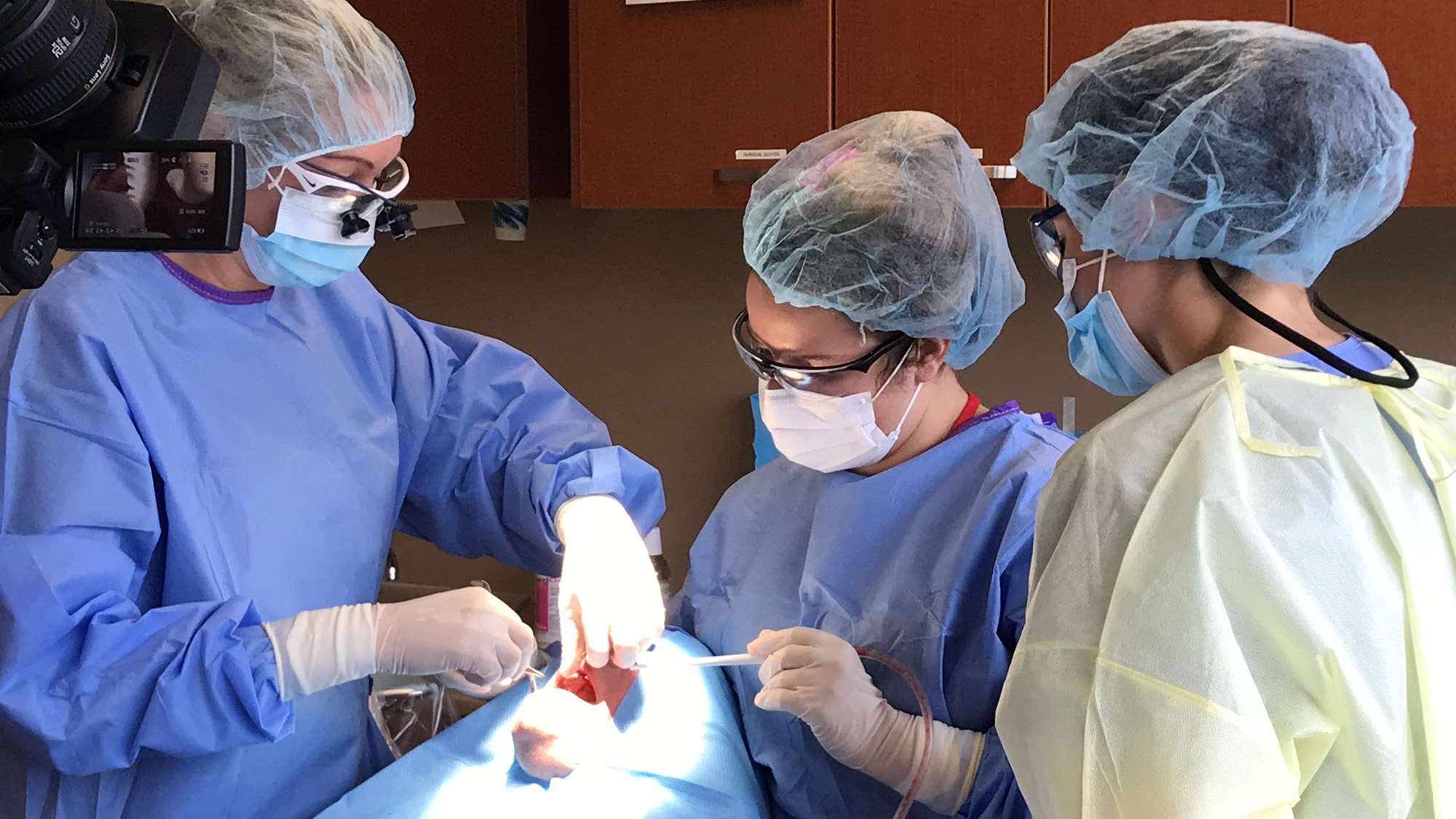 A faculty dentist, and School of Dentistry graduate, guides a student-in-training.